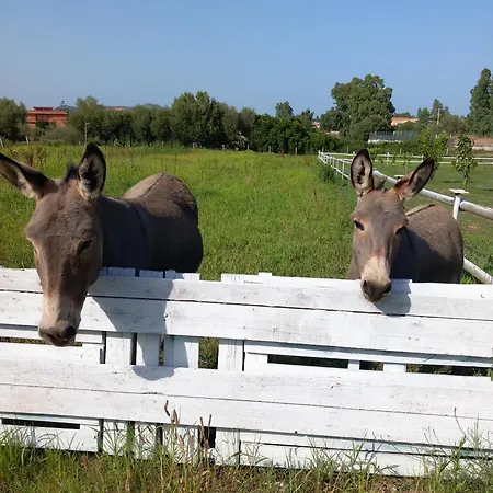 Lägenhet Casa Con Bella Vista *