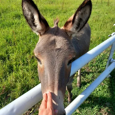 Casa Con Bella Vista *