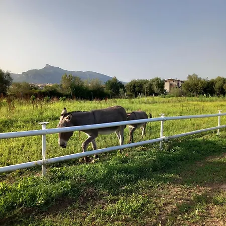 Appartamento Casa Con Bella Vista Siniscola