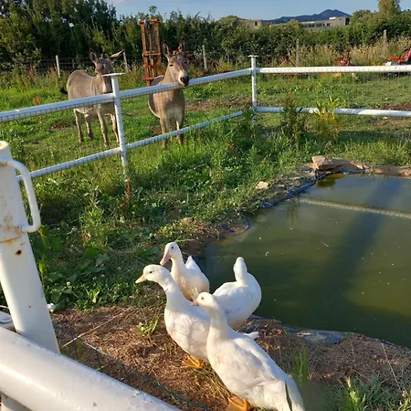 Casa Con Bella Vista Siniscola