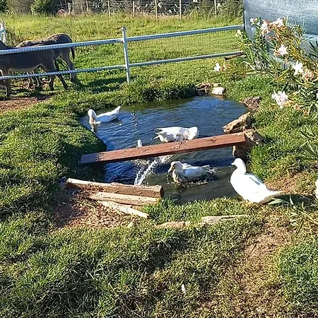 Casa Con Bella Vista *