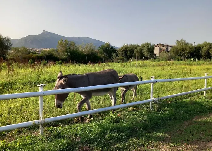 아파트 Casa Con Bella Vista 시니스콜라