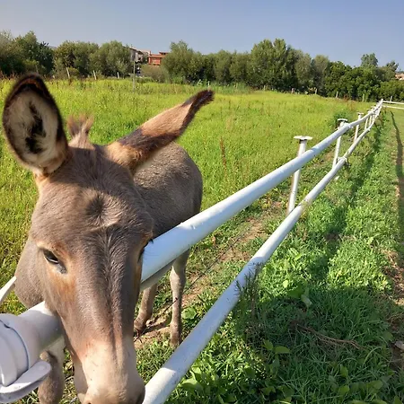 Casa Con Bella Vista
