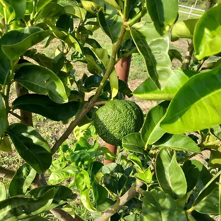 Casa Con Bella Vista *