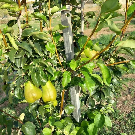 Casa Con Bella Vista 公寓 *